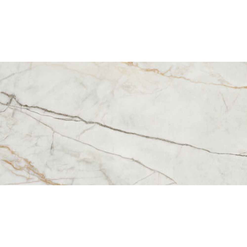 ELEPO GOLD 60X120 Image 1++