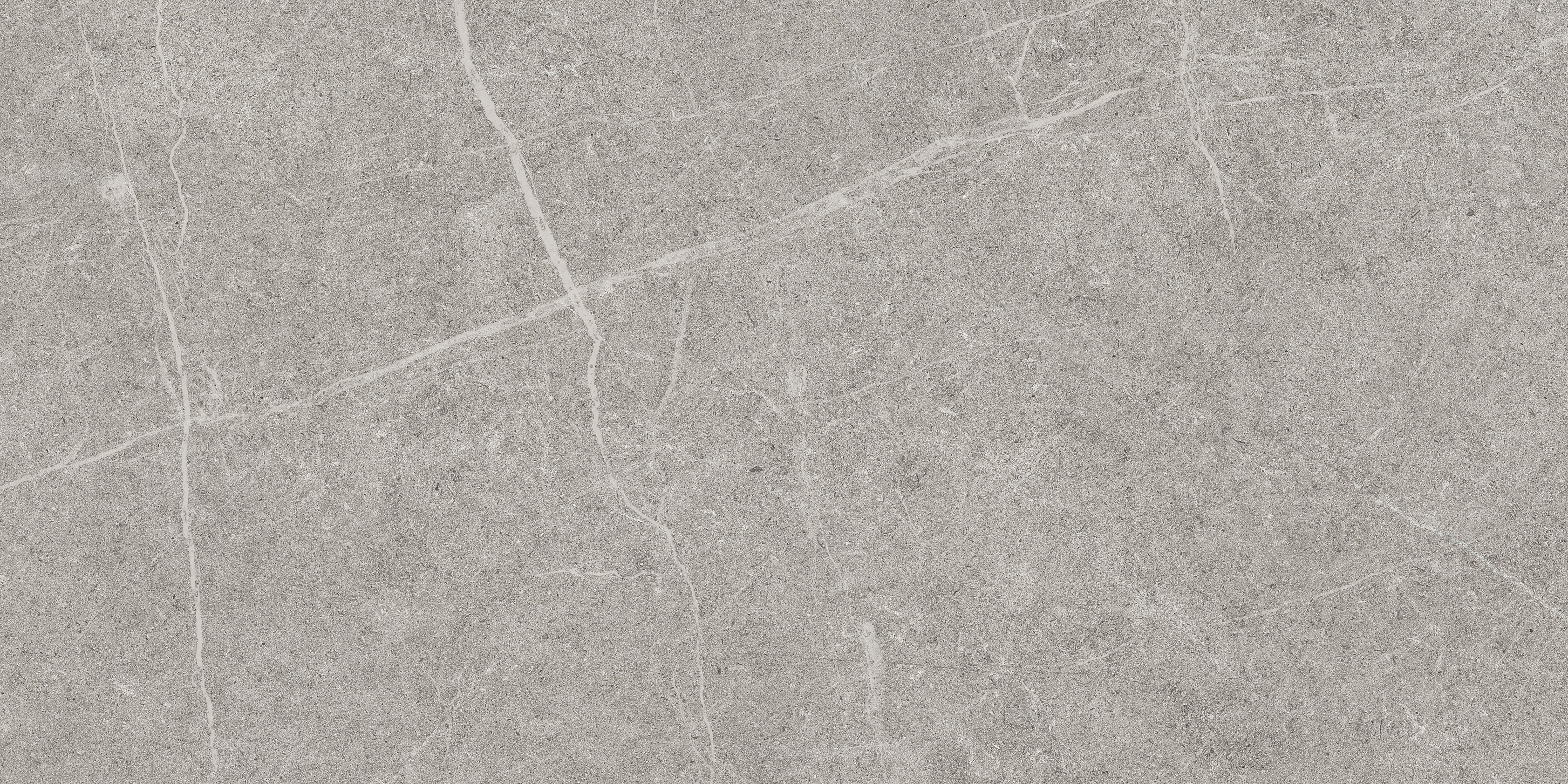 BELLVER 60X120 Image 1++